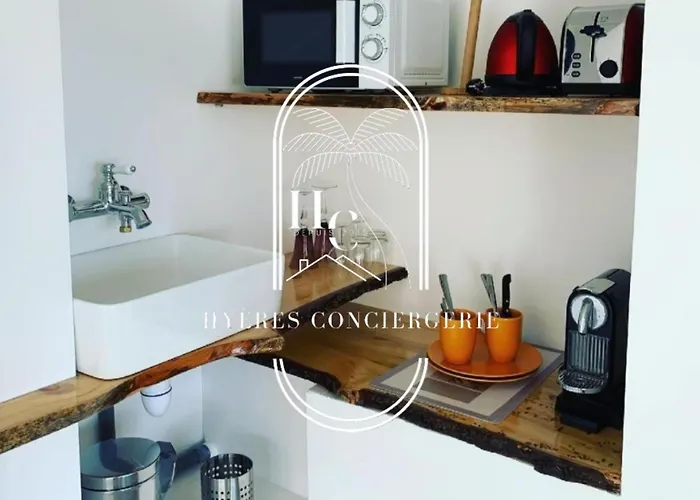 Mont Des Oiseaux Piscine Chauffee Clim Vue By Hc Hyères